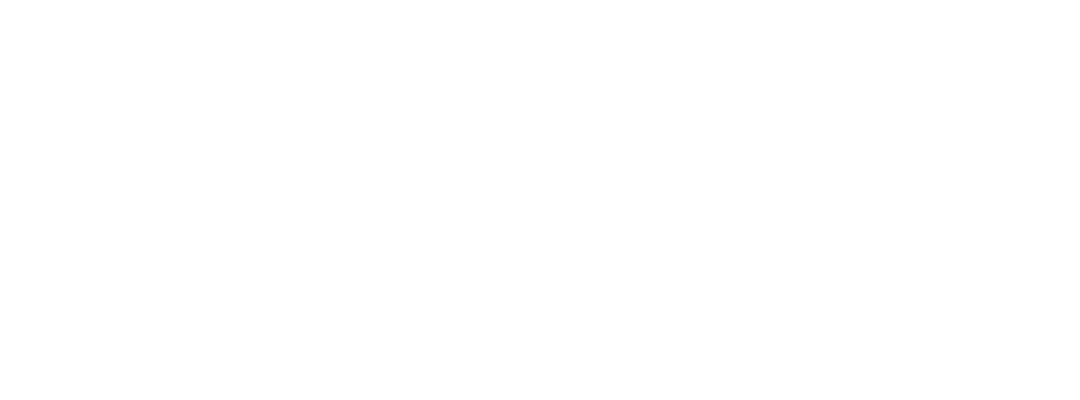 PetbnbLogoWhite