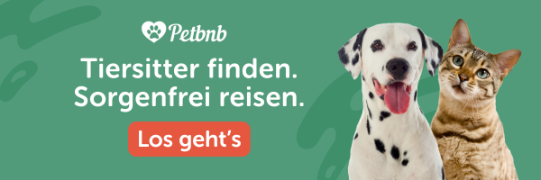 hundebetreuung oder katzenbetreuung buchen mit petbnb