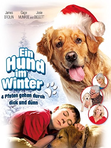 Ein Hund im Winter