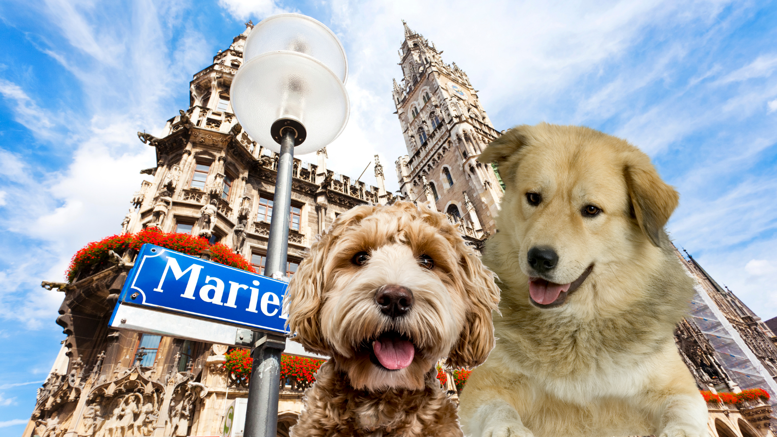 München mit Hund