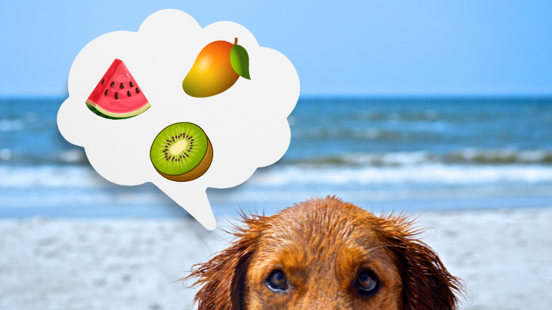 Dürfen Hunde Mangos essen?