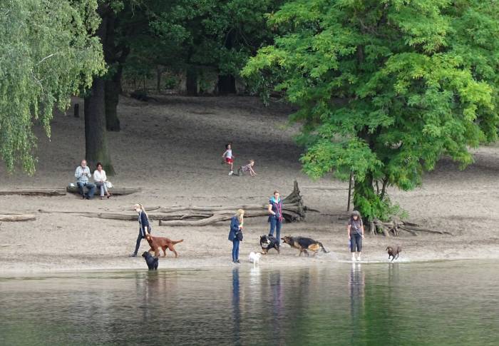 hunde baden in berlin grunewaldsee