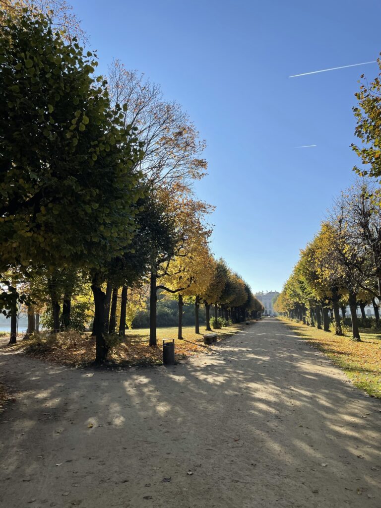 Schlosspark im Herbst besonders schön für Gassirunden Spaziergänge mit HUnd