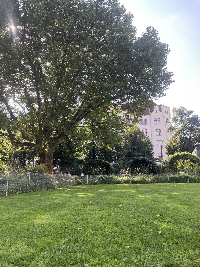 Grünfläche am Savignyplatz