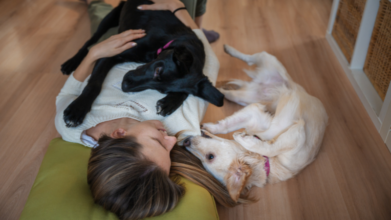 Hunde und Hundesitter kuscheln nach einem ruhigen Spaziergang zur Stärkung ihrer Bindung.