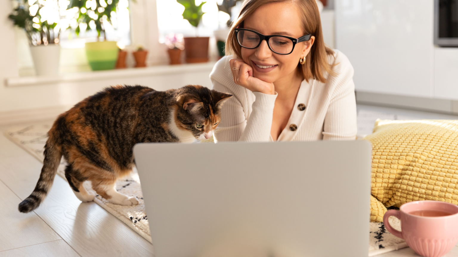 Frau lächelt Katze an, beide sitzen vor dem Laptop