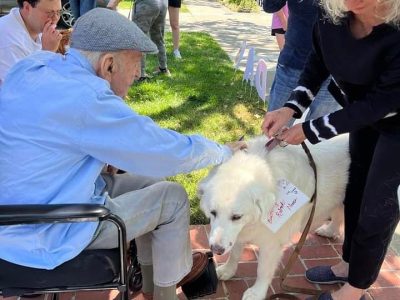 Instagram/@Weratedogs | https://www.instagram.com/p/CtutKg0p0ya/