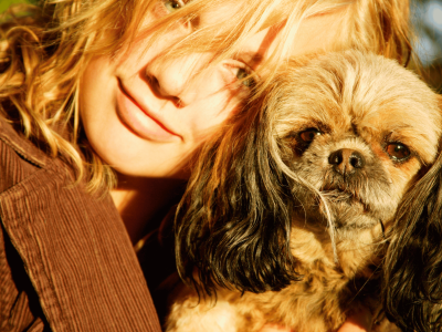 Die Sonne strahlt auf einen Hund der sich in Urlaubsbetreuung befinden