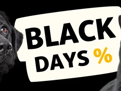 INT_BlackDays_General_SB_Onsite-PLP-Teaser-1920-x-1626