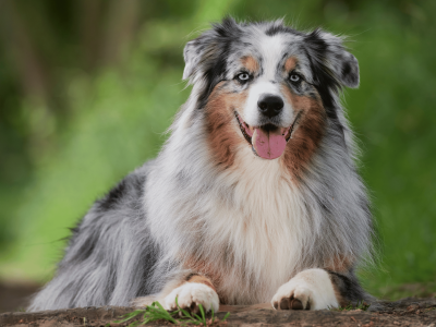 Untitled design (10)