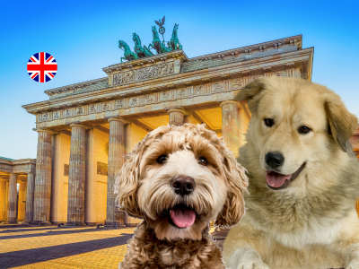 Untitled design (17)