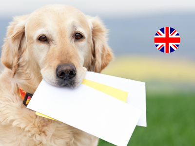 Dog Registration in Germany