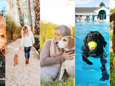 Wir sind überzeugt, dass die Wahl eines Hundesitters viele Vorteile gegenüber einer Hundepension bietet. Deshalb haben wir bei Petbnb die Vorteile hervorgehoben, um eine optimale Erfahrung der Urlaubsbetreuung zu gewährleisten.