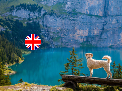 Untitled design (22)