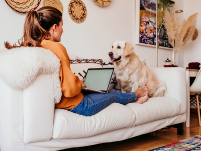 Hundesitting im Home Office kann für alle eine entspannte Möglichkeit sein