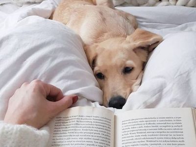 c829b9d96c576f9042a1bdb364f54584