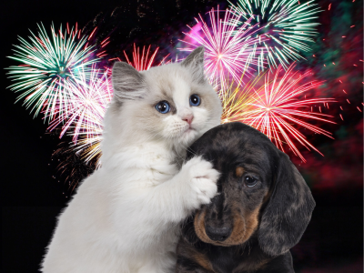 new year