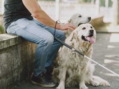 pexels-gustavo-fring-5163796