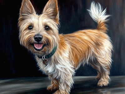 u5817961436_Australian_Terrier_--chaos_90_--profile_m87xg1z_-_531f0e5b-53cf-49c4-b700-672b8f7c0b66_0